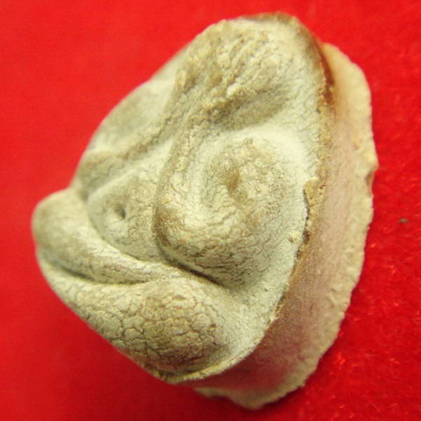 พระปิดตามหาเสน่ห์ หลังยันต์พุทโธ ปี 21 หลวงปู่โต๊ะ วัดประดู่ฉิมพลี ประธานปลุกเสกวัดลาดปลาเค้า