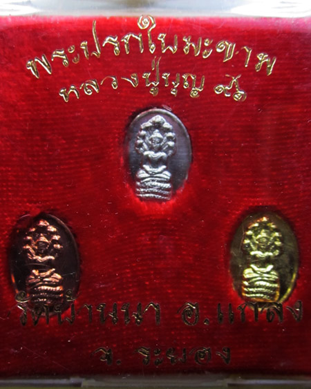 ชุดปรกมะขาม 3 เนื้อ เงิน ทองฝาบาตร ทองแดง หลวงพ่อบุญ วัดบ้านนา ระยอง