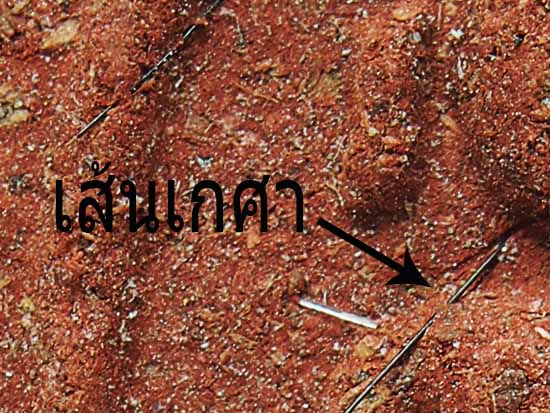 SDKP 51..เนื้อแดงหายาก..พระสมเด็จพิมพ์ ไกเซอร์ เนื้อผงกสิณเพลิง วัดถ้ำสระพงษ์
