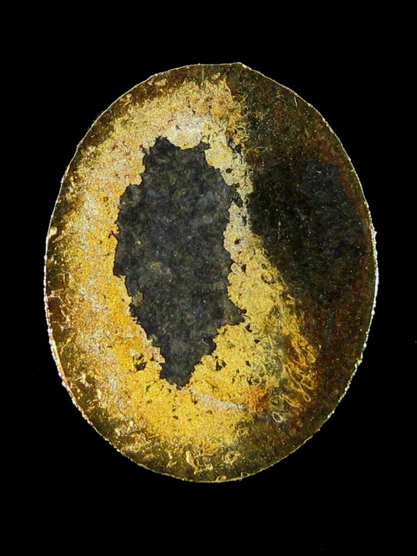 (09) หัวแหวน หลวงปู่ทวด วัดช้างให้ เนื้อทองแดงกะไหล่ทอง สร้างปี 2508 สภาพเดิมๆ