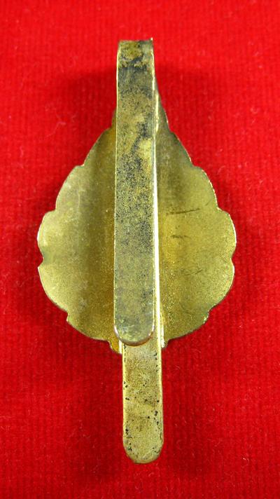 แหนบหลวงพ่อฤาษีลิงดำ วัดท่าซุง อุทัยธานี (1)