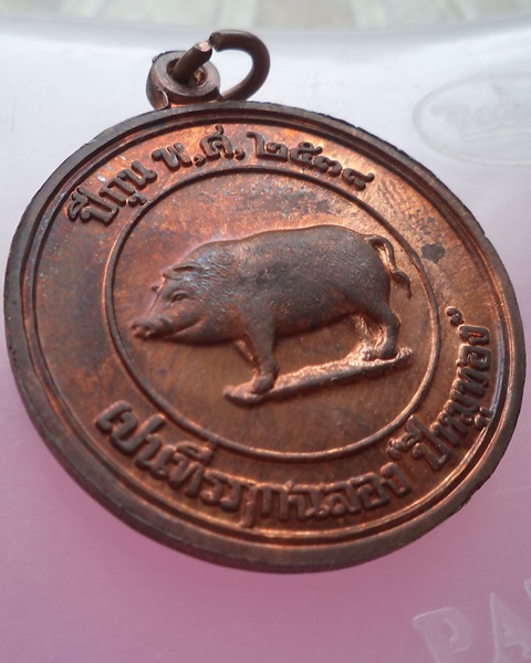 เหรียญหมู 2 หน้า หลวงพ่อสาคร วัดหนองกรับ ปี 2538 ทองแดงสวยๆครับ