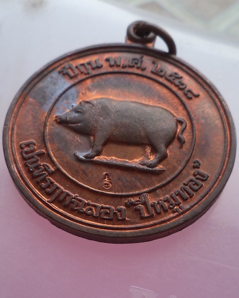 เหรียญหมู 2 หน้า หลวงพ่อสาคร วัดหนองกรับ ปี 2538 ทองแดงสวยๆครับ