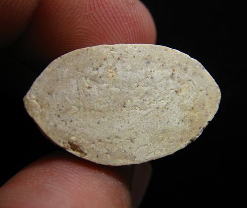  พระปิดตาหลวงพ่อกวย วัดโฆสิตาราม พระอาจารย์ตั้ว วัดซับลำใยสร้าง หลวงปู่หมุน ฐิตสีโล ปลุกเสก 2541 (4)