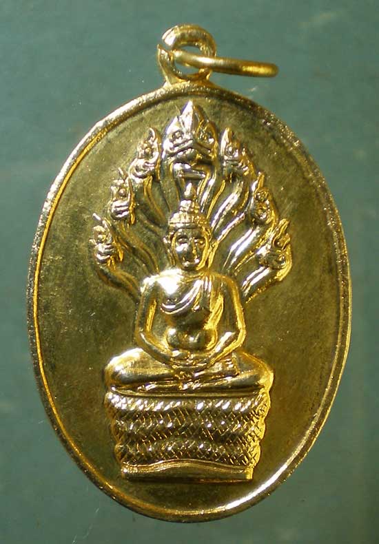 เหรียญพระนาคปรก เจ้าคุณนร