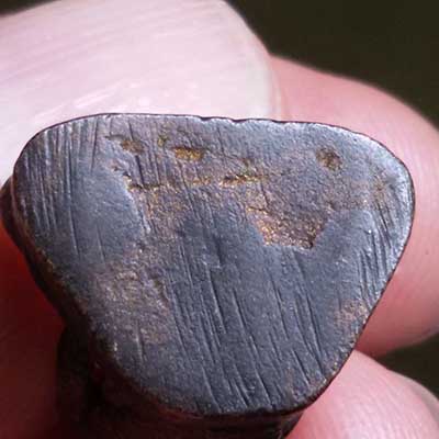 พระรูปหล่อหลวงพ่อเขียน