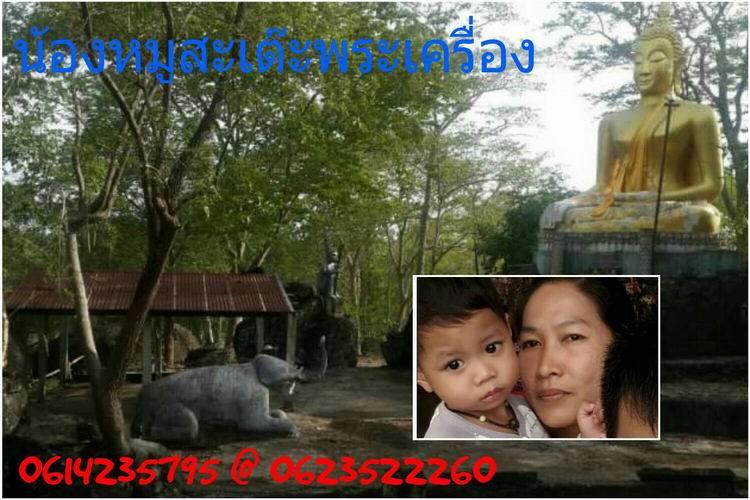 20 บาท พระสมเด็จหลวงพ่อพันธ์ วัดเขาล้อ จ.นครสวรรค์