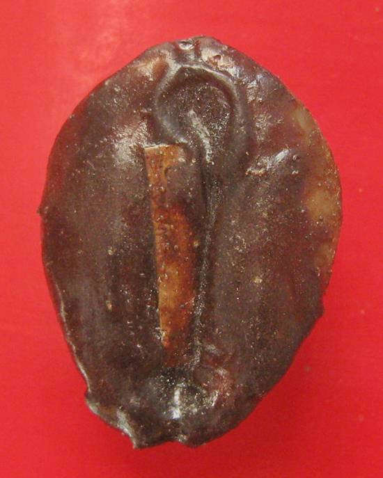 เบี้ยแก้ หลวงพ่อเกษม เขมโก รุ่นสุริยุปราคา ตะกรุดเงิน ปี 38 พร้อมกล่องเดิม 