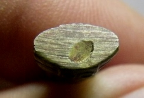 หลวงพ่อโสธร ปี2505