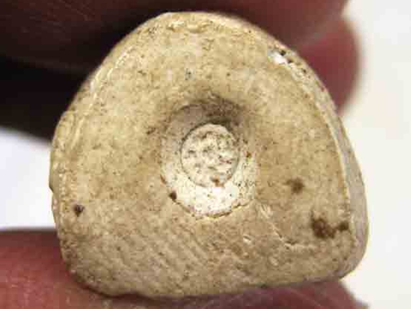 พระผงพิมพ์หลวงปู่ทวด วัดเทพศิรินทร์ 