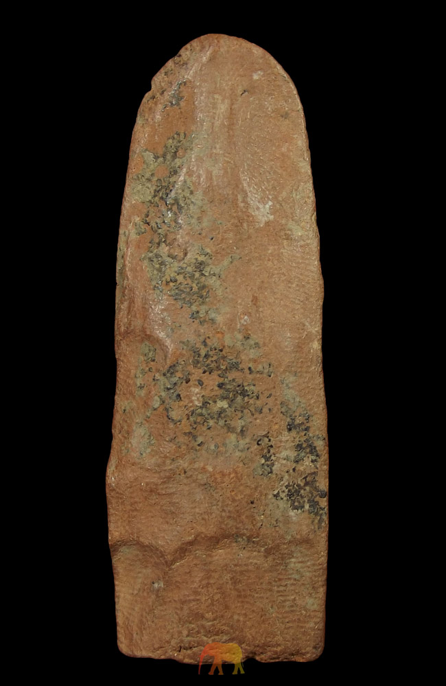 รางวัลที่ ๒ งานพันทิพย์ล่าสุดครับ พระลีลาสรร กรุเมืองสรร ชัย นาท สภาพเดิมๆ ไม่อุด ไม่ซ่อม สวยเดิมครั