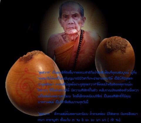 ลูกสวาทมหาเสน่ห์