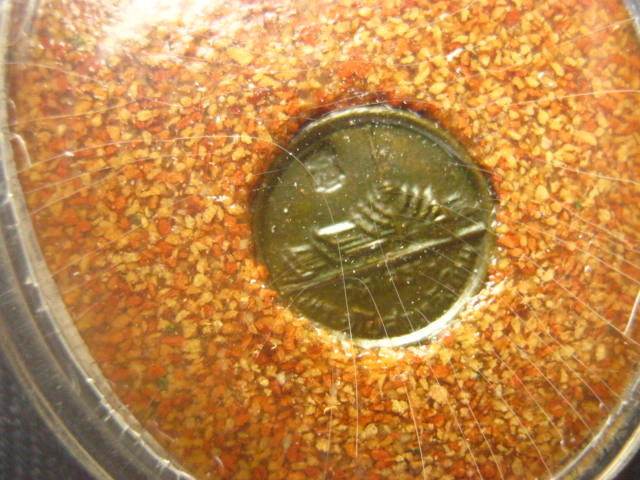 เหรียญไข่หลวงพ่อพุทธโสธร วัดโสธรวราราม ฉะเชิงเทรา เนื้อกระเบื้องหลังคาโบสถ์ ปี 2538