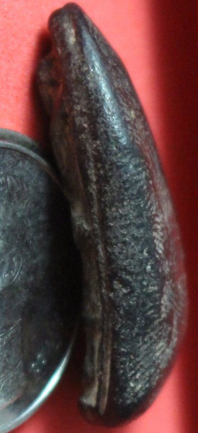 พระสิวลี หลวงพ่อกวย วัดโฆษิตฯ *เคาะเดียวแดง*