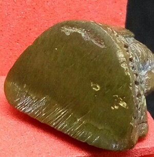 รูปหล่อลอยองค์หลวงปู่ทิม อิสริโก วัดละหารไร่ รุ่นมงคลศิลาฤกษ์ ปี37