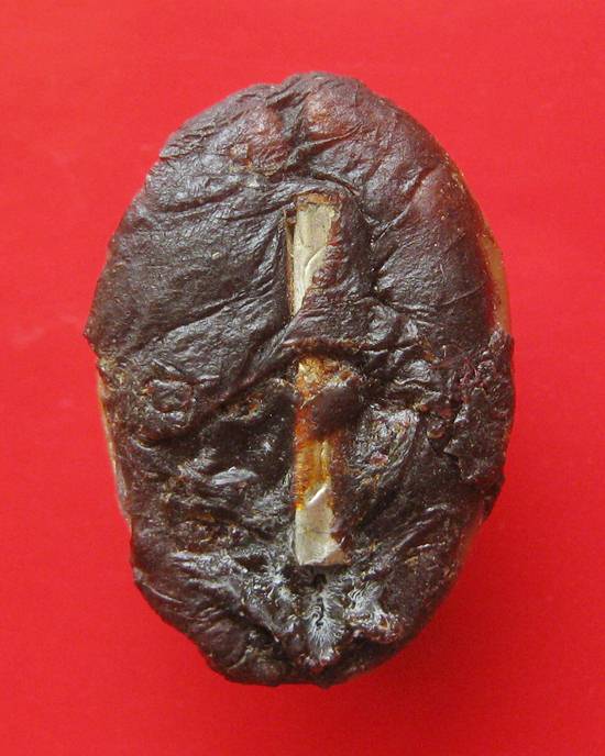 เบี้ยแก้ หลวงพ่อเกษม เขมโก รุ่นสุริยุปราคา ตะกรุดเงิน ปี 38 พร้อมกล่องเดิม 