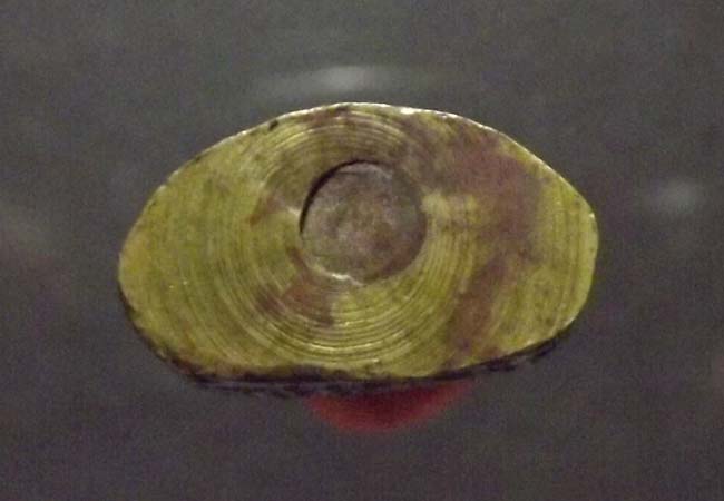 รูปเหมือนปั้ม ครูบาศรีวิชัย ปี2515 จ.เชียงใหม่