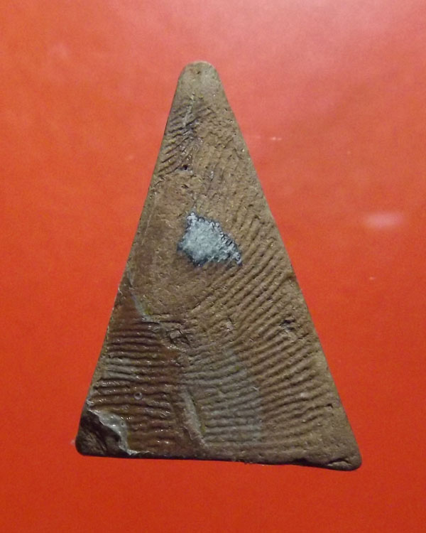 นางพญาหลวงปู่โต๊ะ วัดประดู่ฉิมพลี