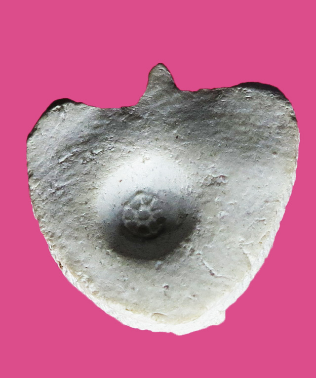 My Image 16