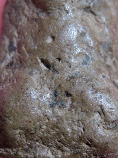 พระเม็ดน้อยหน่า เนื้อดิน จ.สุโขทัย เนื้อจัด ดูง่าย