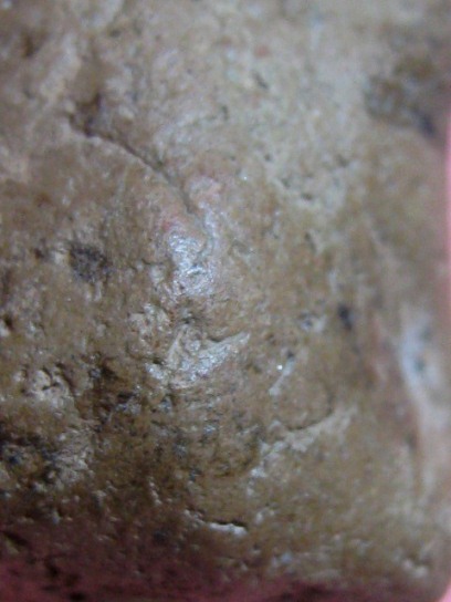 พระเม็ดน้อยหน่า เนื้อดิน จ.สุโขทัย เนื้อจัด ดูง่าย