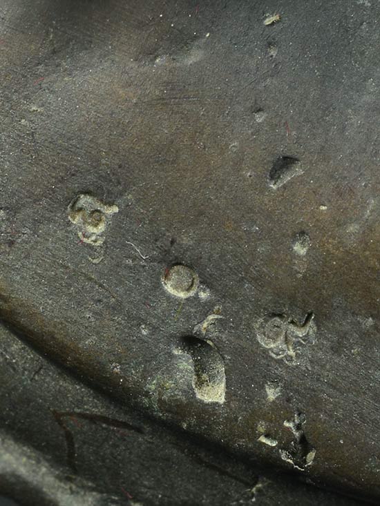 ชูชกหลวงพ่อสาคร ขนาดบูชา 3 นิ้วหมายเลข809 เสาร์ห้า มหาลาภสร้างแค่999องค์ ใต้ฐานฝังตะกรุด และผงพุทธคุ