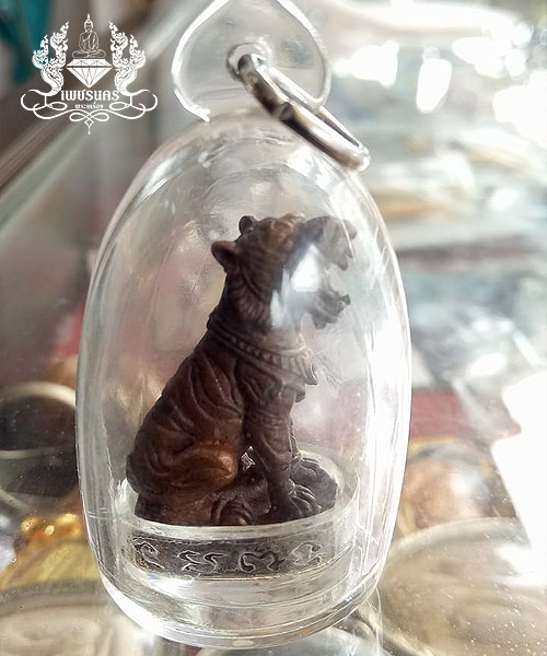 +++ เสือมหาอำนาจหลวงพ่อสาคร วัดหนองกรับใต้ฐานอุดผงพรายกุมาร +++