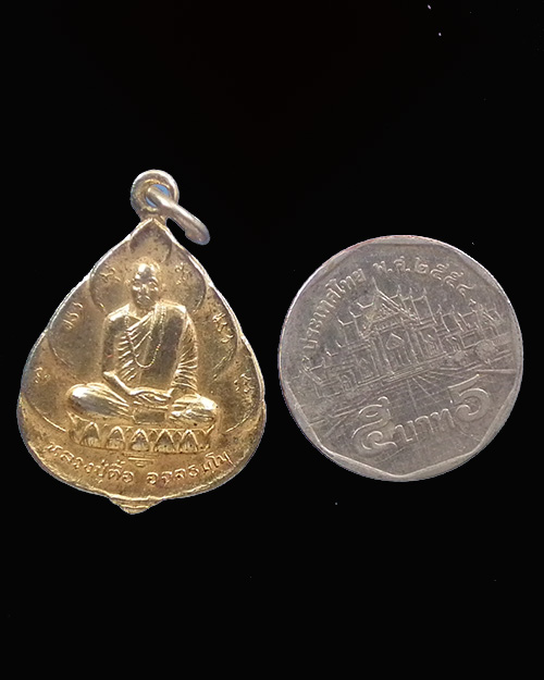 เหรียญรุ่นสร้างพิพิธภัณฑ์ หลวงปู่ตื้อ วัดอรัญญวิเวก นครพนม 