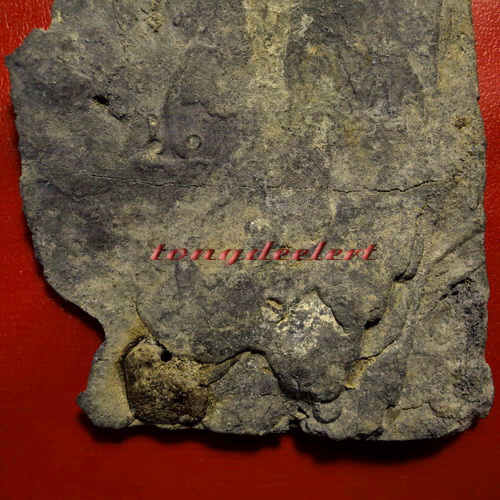 พระอู่ทองฐานสิงห์ เนื้อตะกั่วสนิมแดง กรุวัดเทวสังฆาราม(วัดเหนือ) จ.กาญจนบุรี ปิดทองเดิมจากในกรุ 