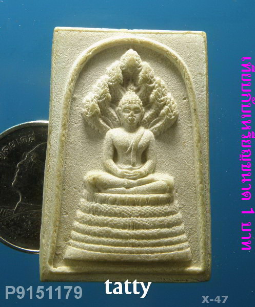 พระนาคปรก 96 ปี เจ้าคุณนรฯ ไม่ทันท่าน