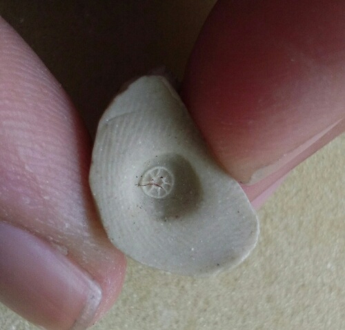 พระผงพิมพ์เชียงแสน ก้นดอกจันทร์. ท่านเจ้าคุณรร ปี2513 เนื้อผง วัดเทพศิรินทร์. กทม