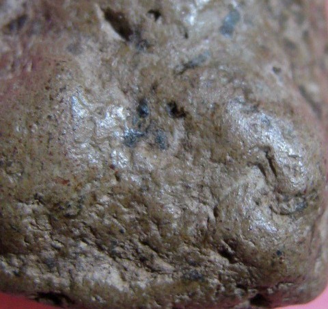 พระเม็ดน้อยหน่า เนื้อดิน จ.สุโขทัย เนื้อจัด มาพร้อมบัตรรับรองความแท้