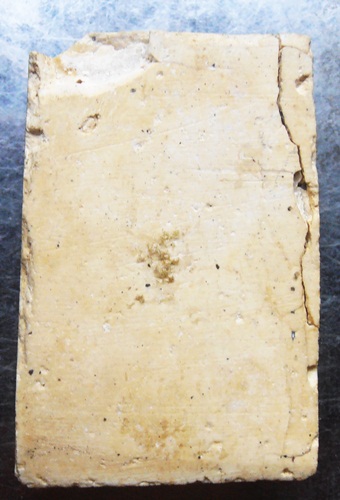 พระสมเด็จเทวดาปรกโพธิ์ หลวงปู่นาค พอสวยๆครับ