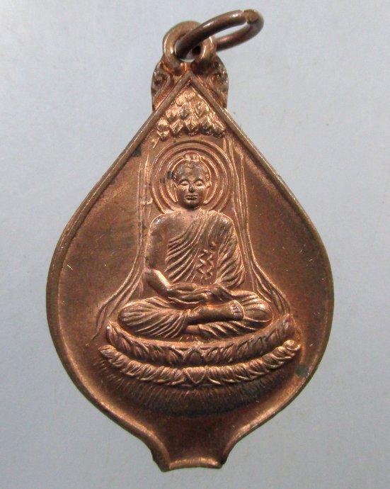 ๒๐ เหรียญพระพุทธเจ้า
