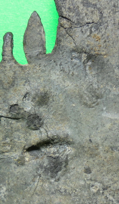 พระกรุวัดราชบูรณะ อยุธยา