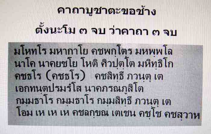 ***ตะขอช้างใหญ่เสริมบารมี โชคลาภ***