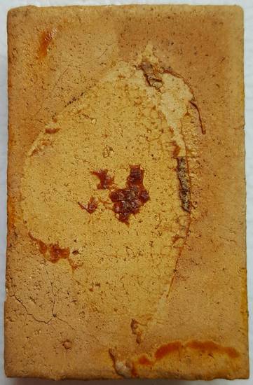 400 ฿ พระผงวัดเกาะลอย จ.ระยอง สมเด็จพิมพใหญ่จัมโบ้ ปี ๑๔ ( หลวงปู่ทิม วัดละหารไร่ ร่วมปลุกเสก )