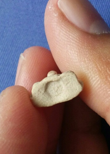 องค์ที่5พระผงเจ้าคุณนร รุ่นแดนดารา. ปี13. วัดเทพศิรินทร์. องค์5