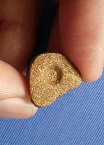 พระผงพิมพ์หลวงปู่ทวด ก้นดอกจันทร์ ท่านเจ้าคุณนรฯ วัดเทพศิรินทร์ ปี13 ขนาดความสูงประมาณ 2 ซม.