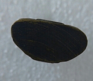 พระกริ่งหลวงพ่อโสธร ปี 2508