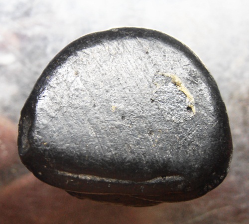 สังกัจจายเนื้อผงใบลานหลวงพ่อกวยกริ่งไม่ดังครับ