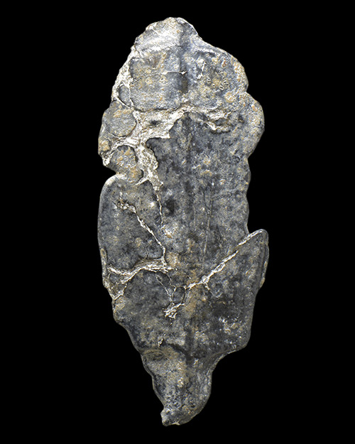 พระร่วงยืน พิมพ์ประทานพร กรุวังเพิ่ม จ.ขอนแก่น เนื้อตะกั่วสนิมแดง สภาพสวยมาก+ตลับทองคำ15.90กรัมครับ