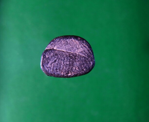 พระรอด พิมพ์เล็ก กรุวัดป่ากล้วย จ.ลำปาง