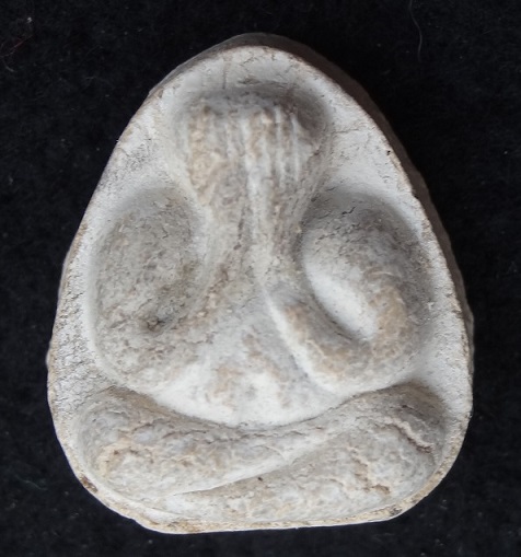 พระปิดตามหาเสน่ห์ หลังยันต์พุทโธ เนื้อเกสรนวลๆ คราบกรุเดิมๆ