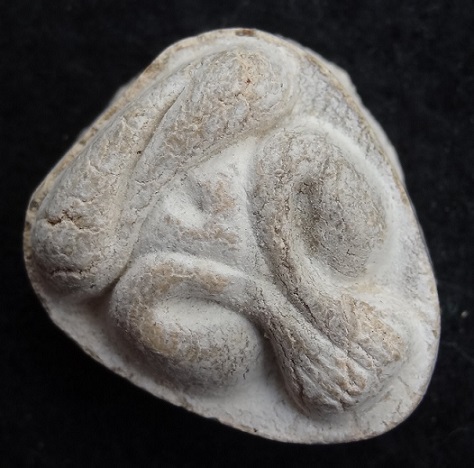 พระปิดตามหาเสน่ห์ หลังยันต์พุทโธ เนื้อเกสรนวลๆ คราบกรุเดิมๆ