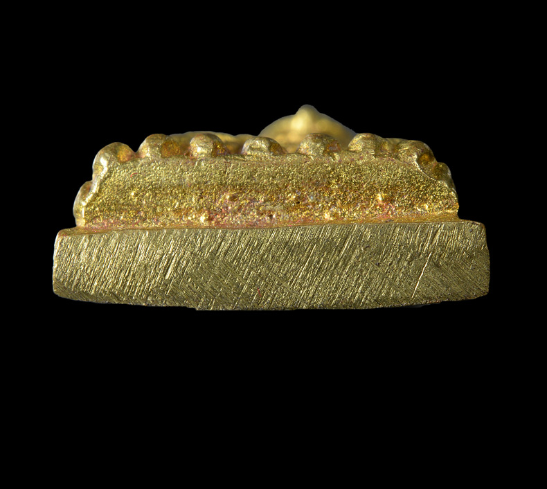 หลวงปู่ทวด หลังเตารีด เนื้อทองทิพย์ พิมพ์ใหญ่ รุ่นสร้างโรงพยาบาลโคกโพธิ์ ปี 2539