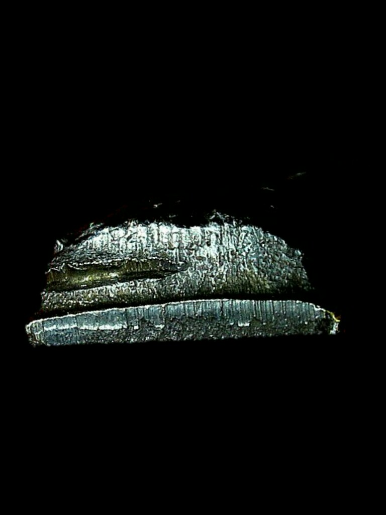 หลวงปู่ทวด วัดช้างให้ หลังหนังสือใหญ่ เตารีด  หน้ายักษ์ ปี 08  