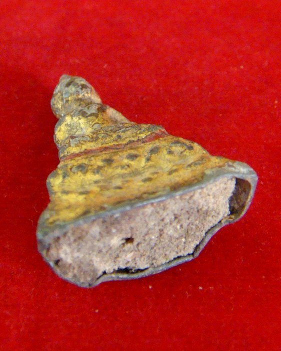 พิมพ์พระพุทธ เนื้อตะกั่วสนิมแดง สมัยอยุธยา