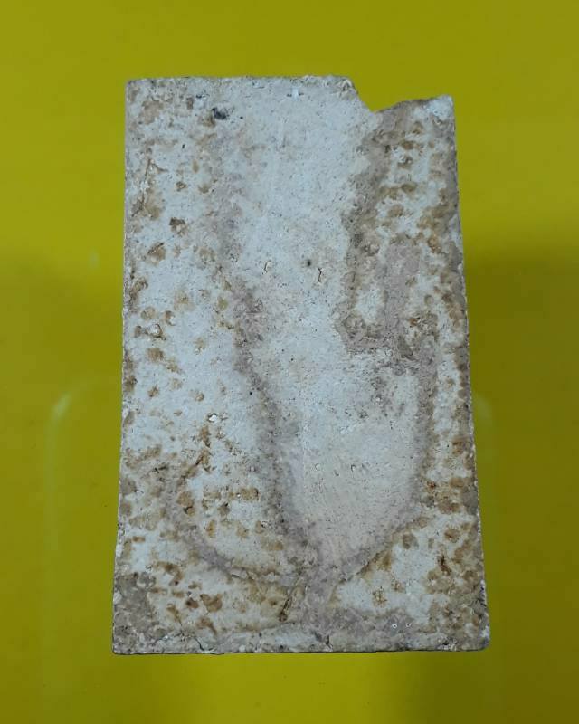 สมเด็จพิมพ์เจดีย์ข้างฉัตร หลวงปู่นาค วัดระฆังโฆสิตาราม กรุงเทพฯ  ปี ๒๕oo