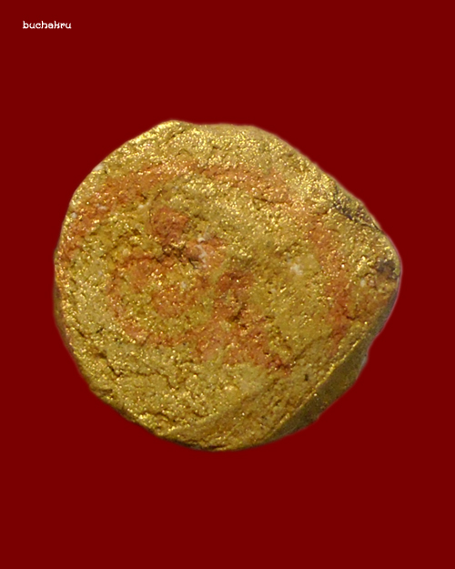 มัจฉานุ เนื้อผงสีเหลือ ปี 2556 หลวงปู่คำบุ วัดวิหารเจดีย์ศรีชมพู มูลนิธิหลวงปู่ทิมสร้างถวาย